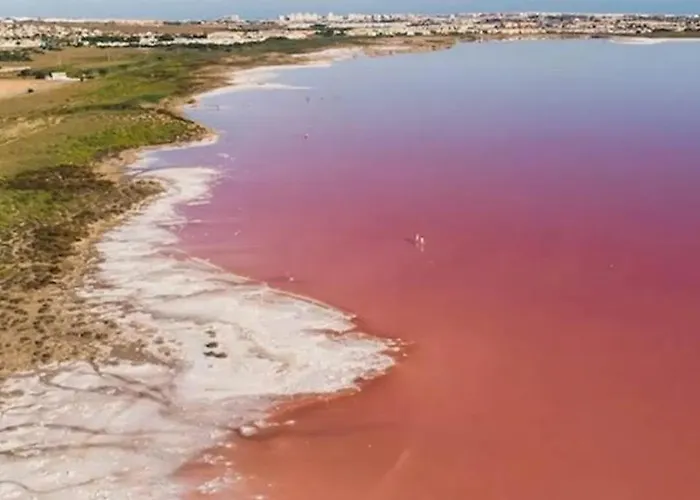 Appartement La Playa Torrevieja